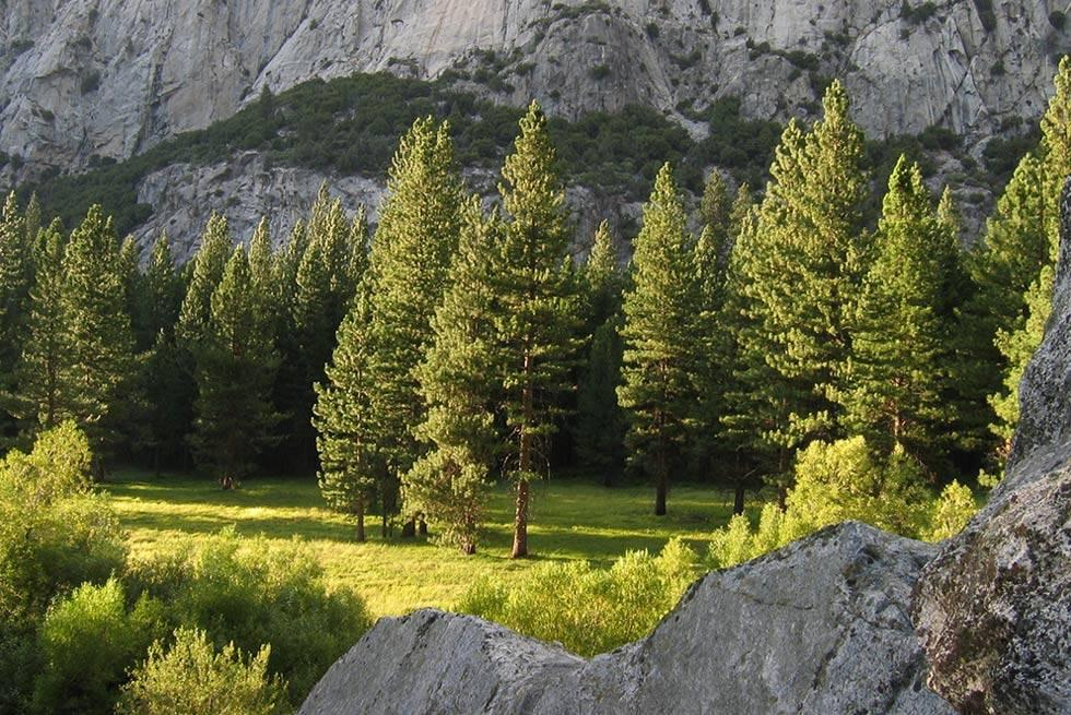 John Muir Lodge Hume Екстериор снимка