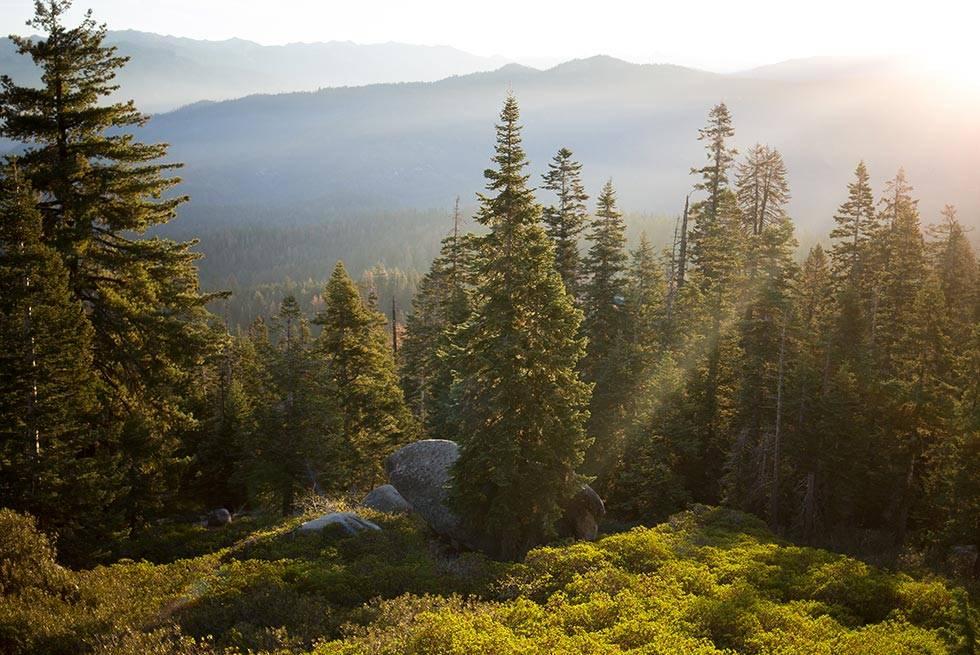 John Muir Lodge Hume Екстериор снимка