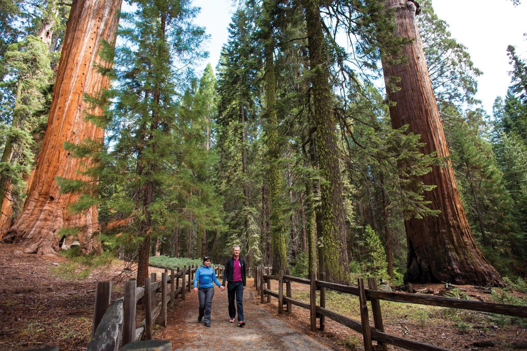 John Muir Lodge Hume Екстериор снимка